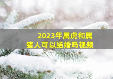 2023年属虎和属猪人可以结婚吗视频,2022年属虎本命年可以结婚吗