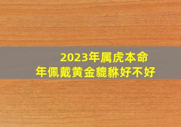 2023年属虎本命年佩戴黄金貔貅好不好,我属虎买的黄金貔貅带在脖孑上好吗