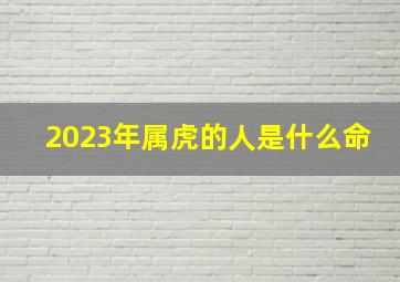 2023年属虎的人是什么命,2023年生肖虎的全年运势