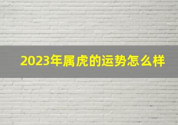 2023年属虎的运势怎么样,74年属虎的2023年运势