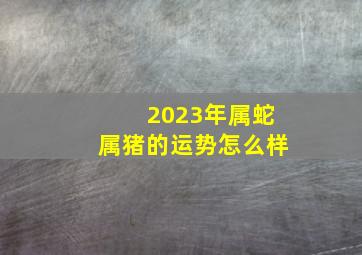 2023年属蛇属猪的运势怎么样,2023年董易奇运程车