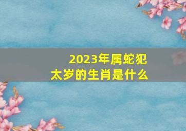 2023年属蛇犯太岁的生肖是什么,2022年犯太岁的生肖