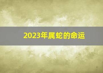 2023年属蛇的命运