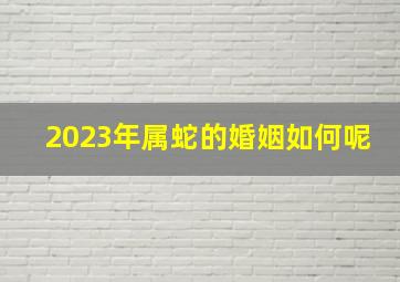 2023年属蛇的婚姻如何呢,2023年属鼠和属蛇人结婚吉利吗可幸福安康