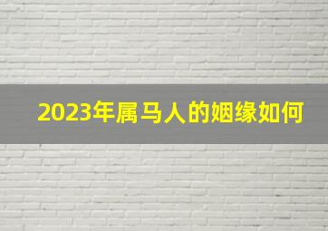 2023年属马人的姻缘如何,90年属马男2023年运势婚姻在2023年可以结婚吗