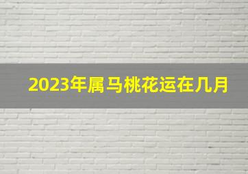 2023年属马桃花运在几月,1966年属马2023年运势及运程男每月哪个月最侥幸