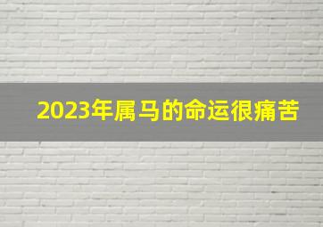 2023年属马的命运很痛苦,2023年属马人的命运