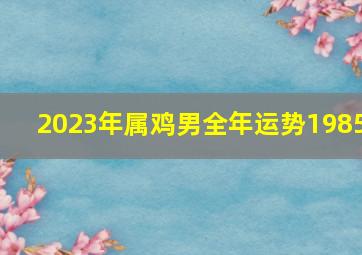 2023年属鸡男全年运势1985,属鸡2023年多大年龄了属鸡人2023全年运势详解