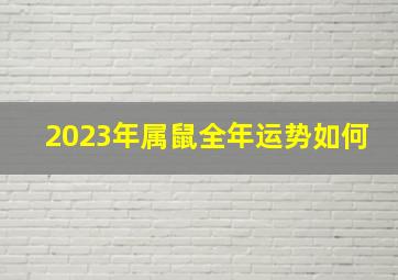 2023年属鼠全年运势如何