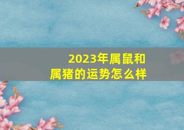 2023年属鼠和属猪的运势怎么样,生肖运势2022年运势大全（生肖运势2022年运势大全每月风水李布衣）