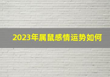 2023年属鼠感情运势如何,2023属鼠全年运势