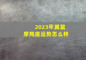 2023年属鼠摩羯座运势怎么样,摩羯座2023年事业运势如何