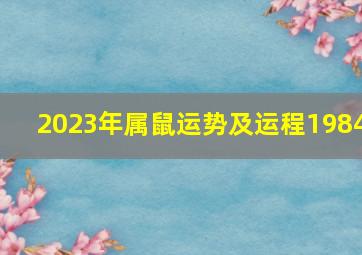 2023年属鼠运势及运程1984,1984年出生属鼠人2023年全年运势生肖鼠兔年每月运势