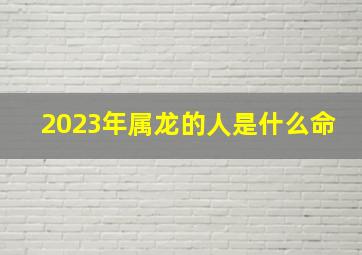 2023年属龙的人是什么命,2023年的龙年运气怎样