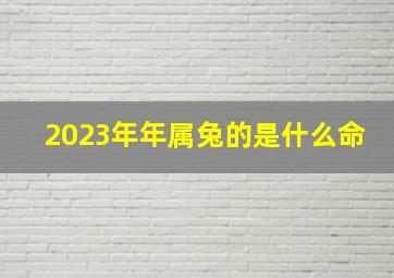 2023年年属兔的是什么命,2023年的兔是什么命天干为癸水兔之命