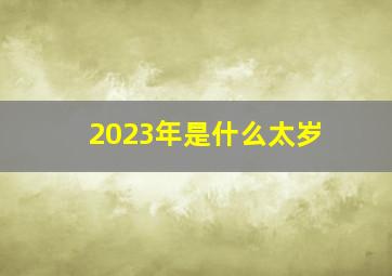 2023年是什么太岁