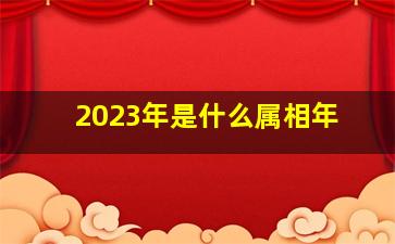 2023年是什么属相年,2023年是什么生肖年