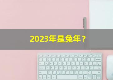 2023年是兔年？