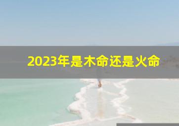 2023年是木命还是火命,如何才能知道自己是金木水火土中的什么命