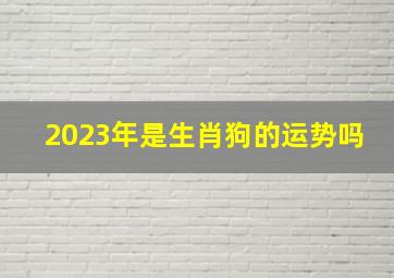 2023年是生肖狗的运势吗,生肖狗在2023年的运势以及注意月份