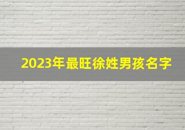 2023年最旺徐姓男孩名字,徐姓男孩