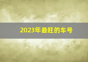 2023年最旺的车号,寓意发财三位数车牌号最新版大吉牌号