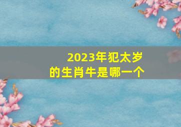 2023年犯太岁的生肖牛是哪一个,2023年犯太岁最凶的四大生肖