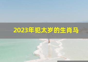 2023年犯太岁的生肖马,2023年属马和什么属相相冲