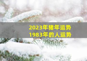 2023年猪年运势1983年的人运势,1983年属猪人2023年运势运程40岁属猪人的运势