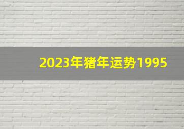 2023年猪年运势1995,1995年属猪人2023年运势运程地支与太岁呈三合