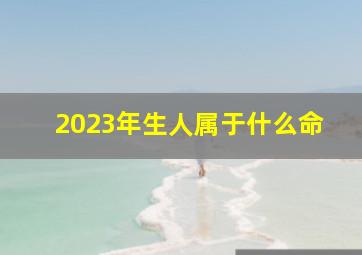 2023年生人属于什么命,2023年生人是什么命