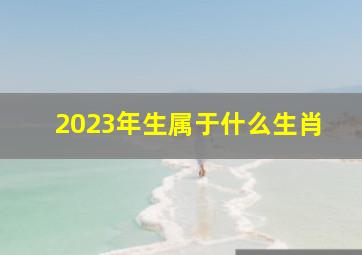 2023年生属于什么生肖,2023年属什么生肖