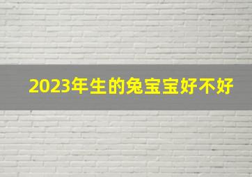 2023年生的兔宝宝好不好,2023年属兔宝宝好不好沉稳敏锐能聚财