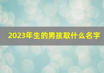 2023年生的男孩取什么名字,2023年出生的男宝宝取名