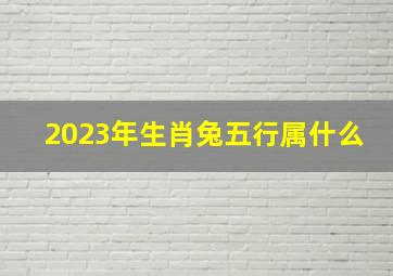 2023年生肖兔五行属什么,2023年五行属兔是什么水兔的命运是红色的吗