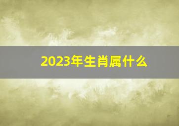 2023年生肖属什么,2023年是属什么年