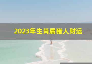 2023年生肖属猪人财运怎么样,2023年生肖属猪人财运