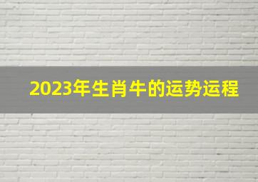 2023年生肖牛的运势运程,2023年属牛人怎么样会有好运气吗