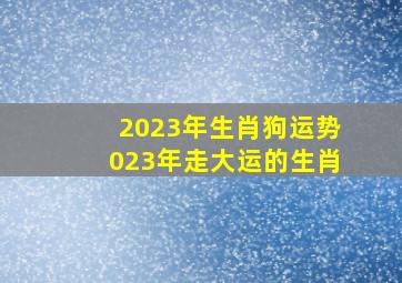 2023年生肖狗运势023年走大运的生肖,运程2023生肖年运程