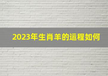 2023年生肖羊的运程如何,1991年属羊人2023年运势及运程生肖羊的最佳配偶