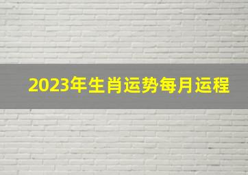 2023年生肖运势每月运程,巨匠详解：属猪2023年全年运势运程及每月运程