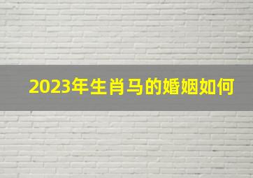 2023年生肖马的婚姻如何,属马2023年会离婚吗桃花运好吗