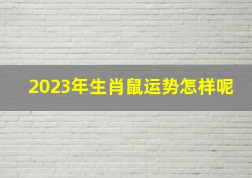 2023年生肖鼠运势怎样呢,2023年鼠人运势如何