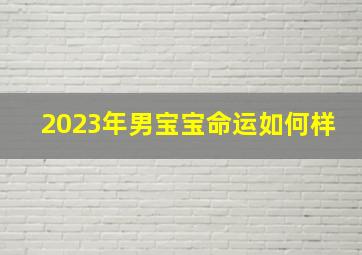 2023年男宝宝命运如何样,2023年男宝宝几月出生好