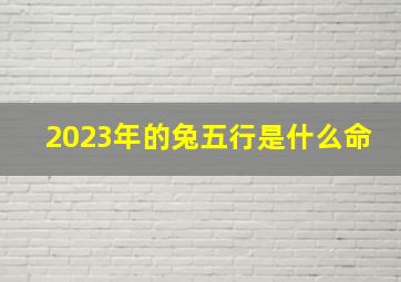 2023年的兔五行是什么命,2023年兔年五行属什么