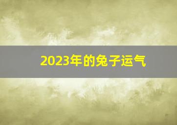 2023年的兔子运气,兔年出生的人2023年运势及运程