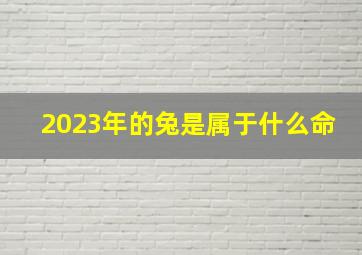 2023年的兔是属于什么命,2023年是什么兔什么命五行属什么