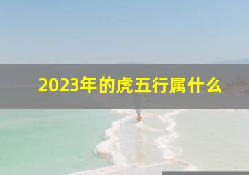 2023年的虎五行属什么,2023年1月15日南小年出生的小孩五行属什么五行缺什么