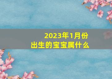 2023年1月份出生的宝宝属什么