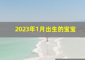 2023年1月出生的宝宝,2023年1月出生的宝宝名字